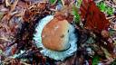 IMG-20240905-WA0005